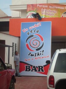 IMG-20250812-WA0029